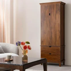 Armoire en bois de manguier Remick