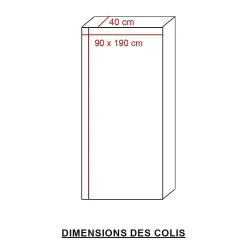Bibliothèque en bois de manguier et métal Locker