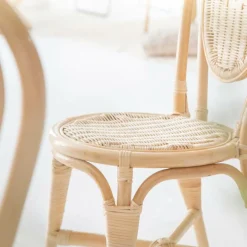 Chaise en rotin bistrot Nohan (lot de 2)