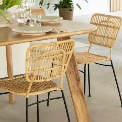 Chaise en rotin et en métal Sélina (lot de 2)