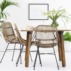 Chaise en rotin et métal Rattan (lot de 2)