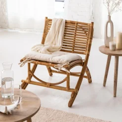 Fauteuil cinéma en rotin 1 place Mayeul