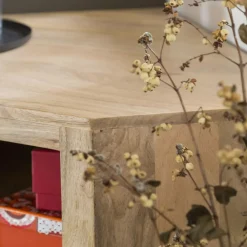 Meuble TV en bois de manguier Lyam