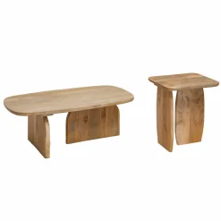 Set de 2 tables basses en bois de manguier Tom