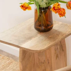 Set de 2 tables basses en bois de manguier Tom