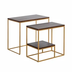 Set de deux consoles en bois de manguier et métal Léon