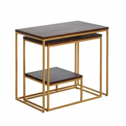 Set de deux consoles en bois de manguier et métal Léon