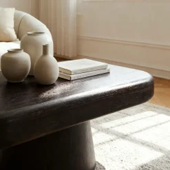 Table basse en bois de manguier foncé Liriel